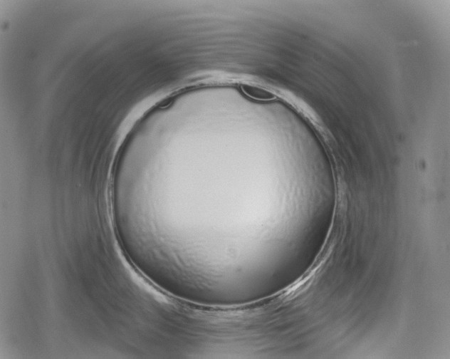 X0000078831247200611271249