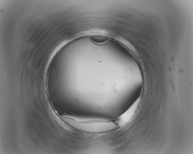 X0000078831248200611271249