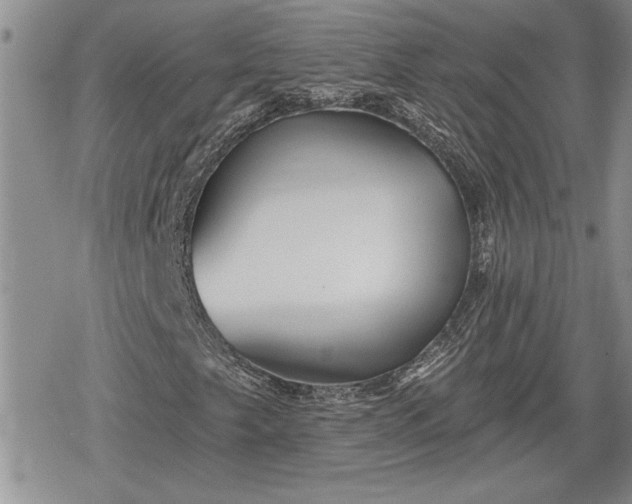 X0000078831249200611271248