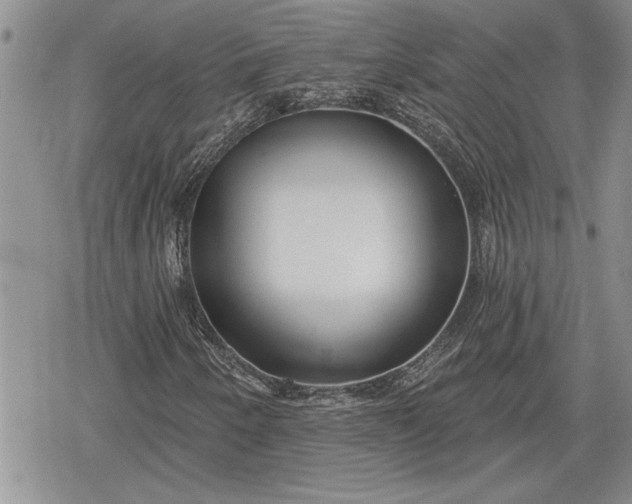 X0000078831250200611271248