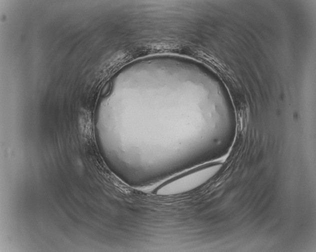 X0000078831251200611271248