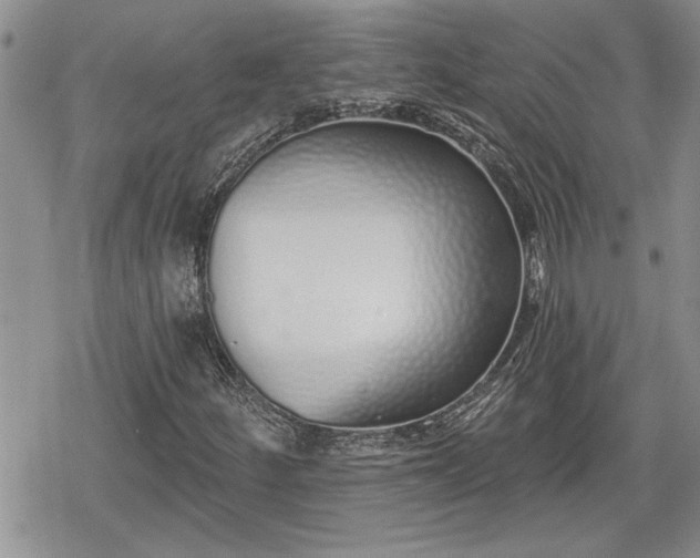 X0000078831252200611271248