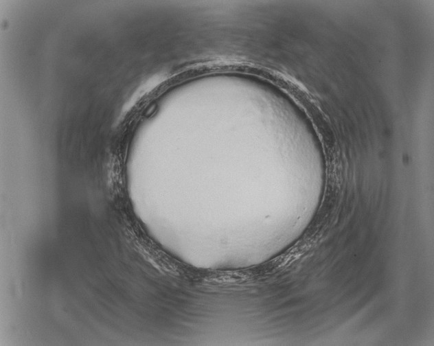 X0000078831255200611271248