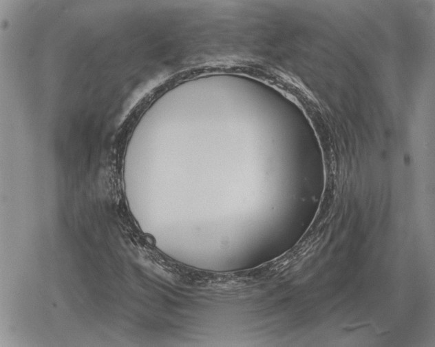 X0000078831256200611271248