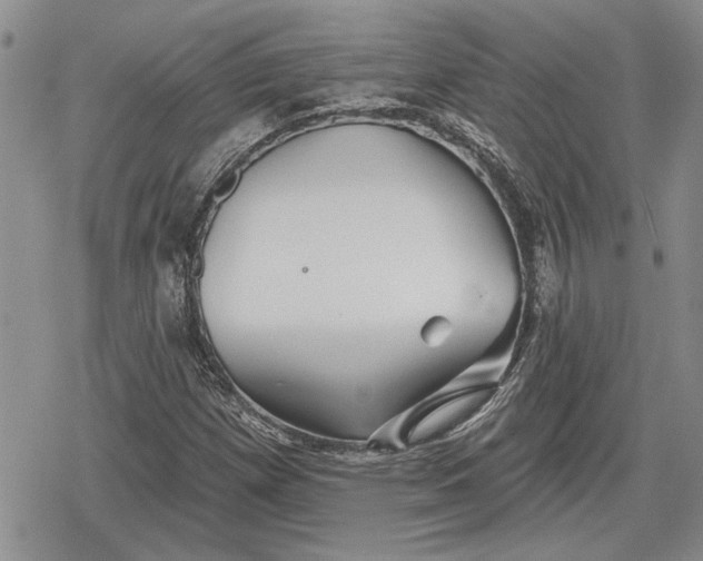 X0000078831257200611271248