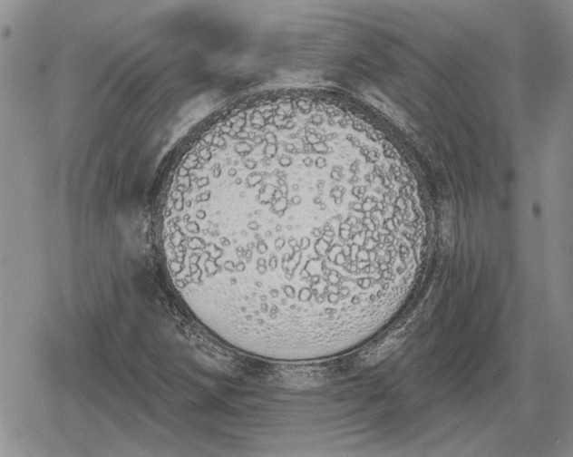 X0000078831258200611271248