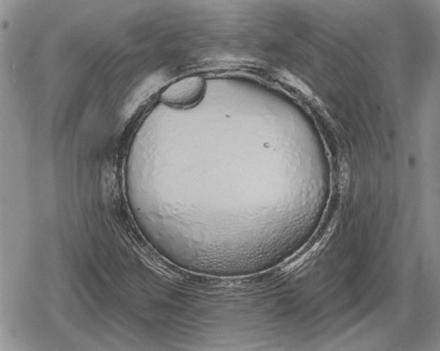 X0000078831259200611271248