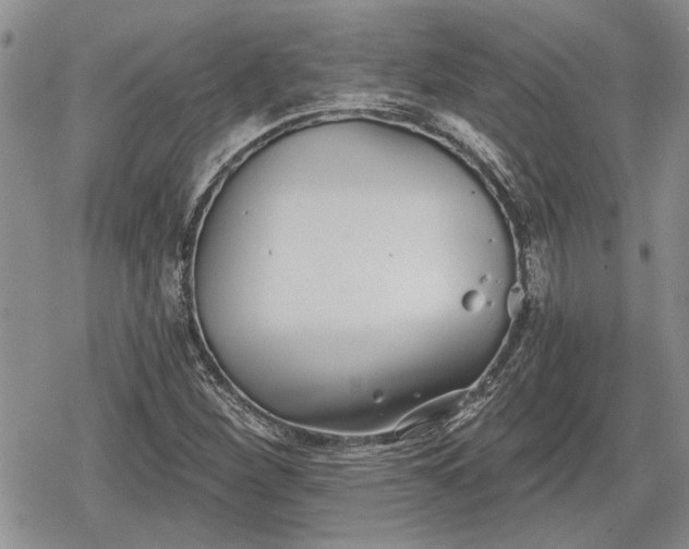 X0000078831260200611271248