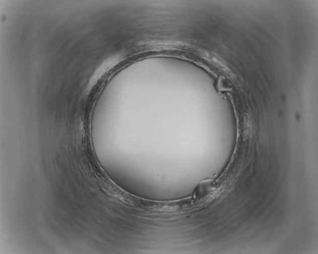 X0000078831261200611271248