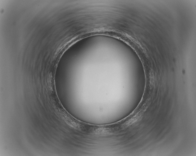 X0000078831265200611271248