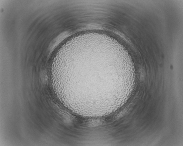 X0000078831266200611271248