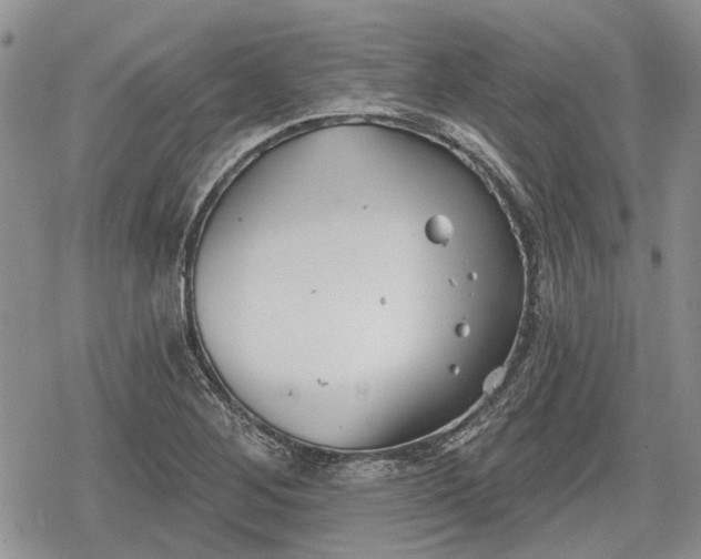 X0000078831268200611271248