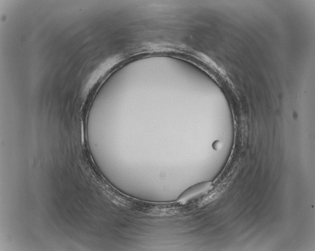 X0000078831269200611271248