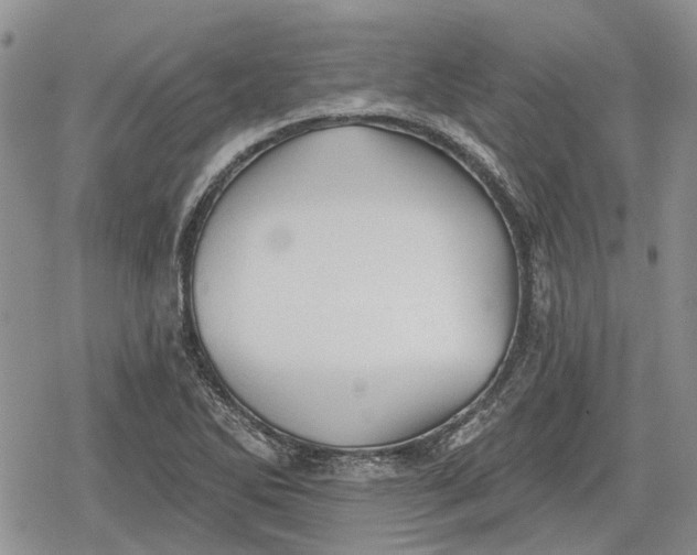 X0000078831270200611271248