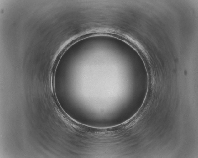 X0000078831272200611271248