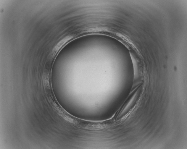 X0000078831273200611271248