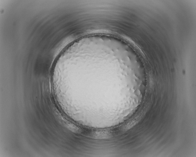 X0000078831274200611271248