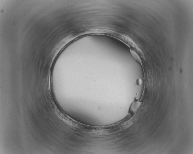 X0000078831276200611271248