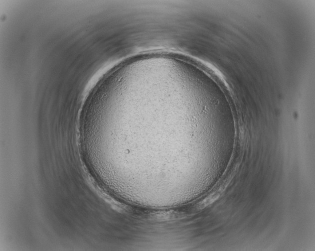 X0000078831279200611271248