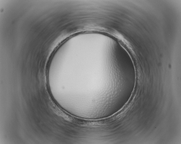 X0000078831280200611271248