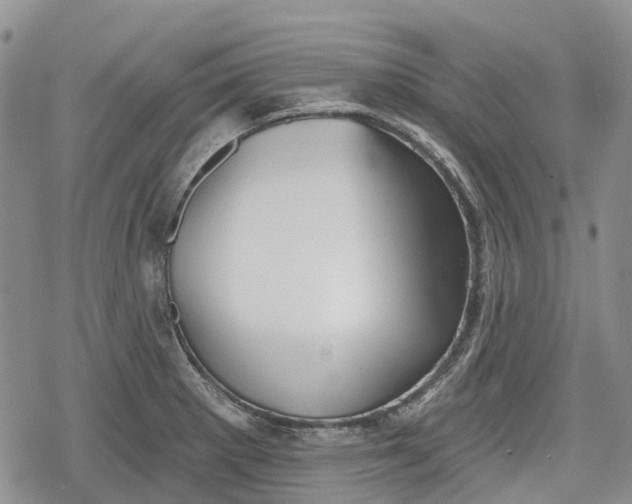 X0000078831281200611271248