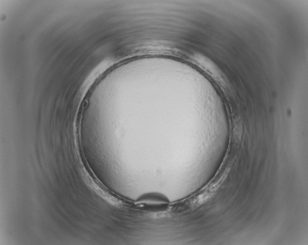 X0000078831283200611271248