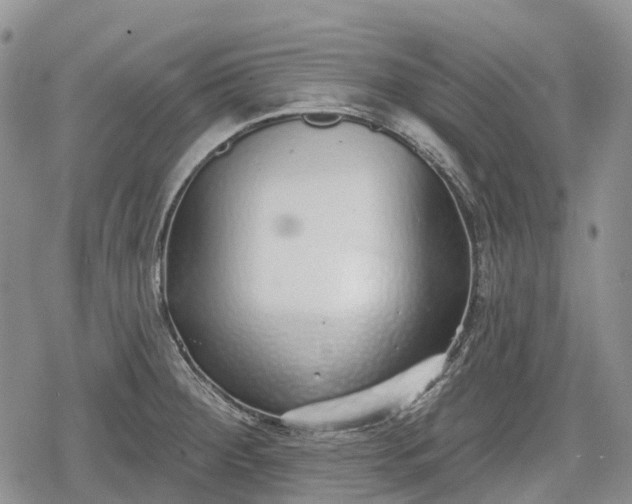 X0000078831284200611271248