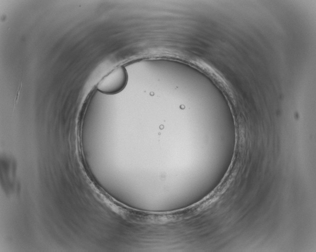 X0000078831286200611271248