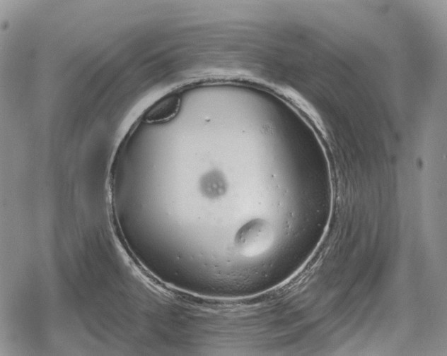 X0000078831287200611271248