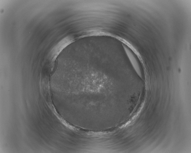 X0000078831289200611271248