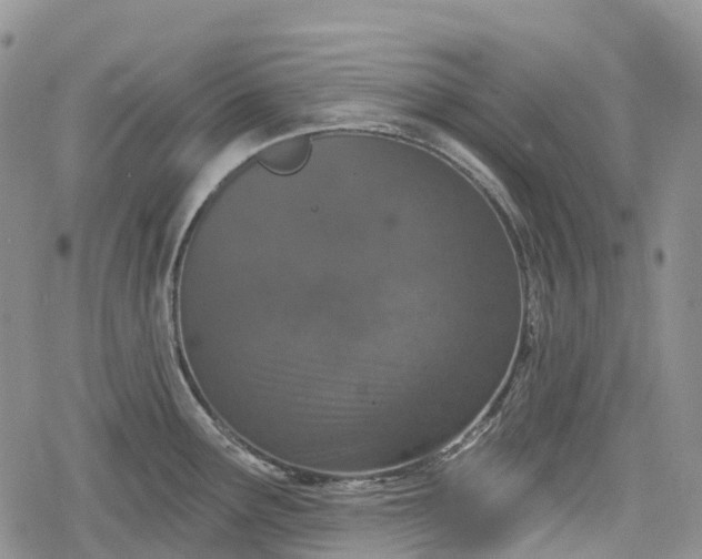 X0000078831291200611271248