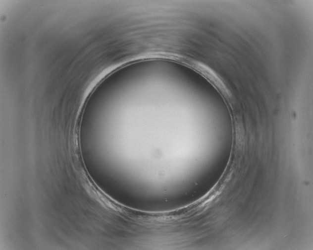 X0000078831292200611271248