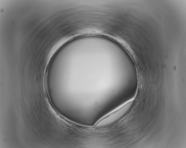 X0000078831295200611271247