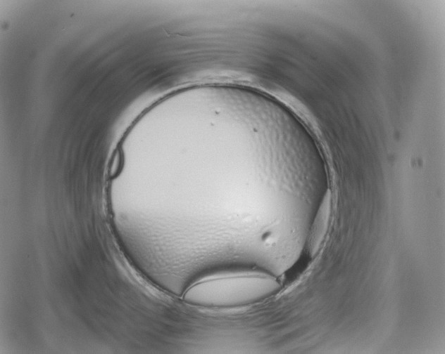 X0000078831296200611271247