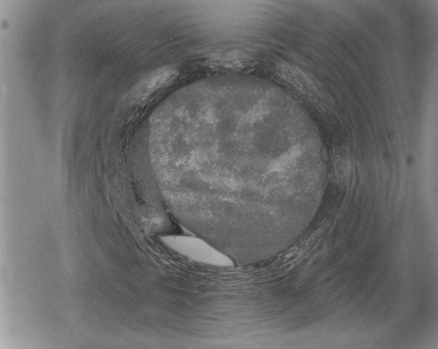 X0000078831297200611271247