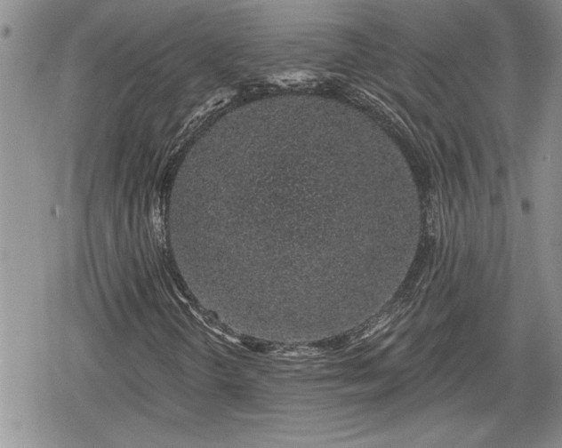 X0000078831298200611271247