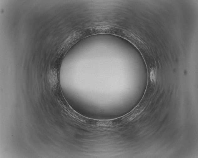 X0000078831299200611271247