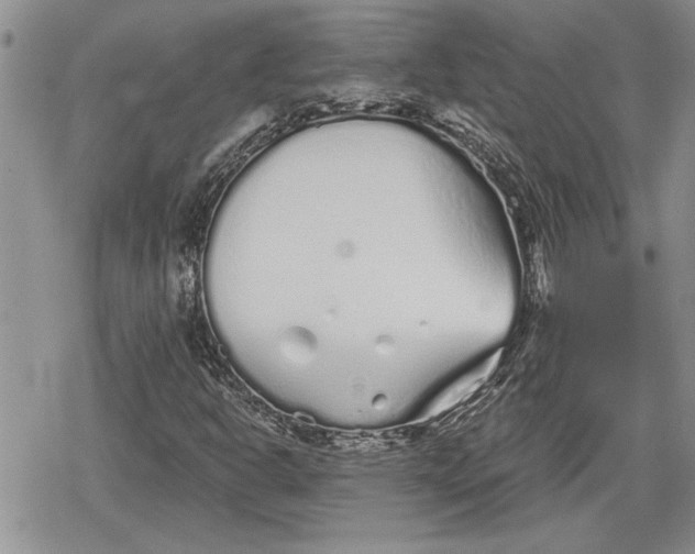 X0000078831302200611271247