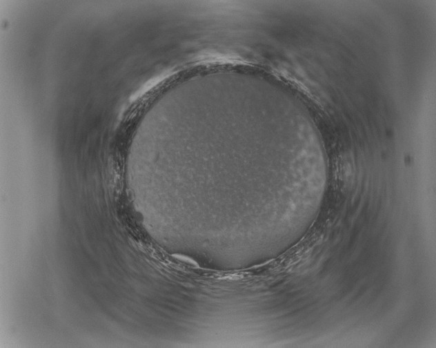 X0000078831303200611271247