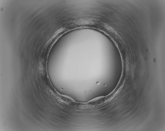 X0000078831305200611271247