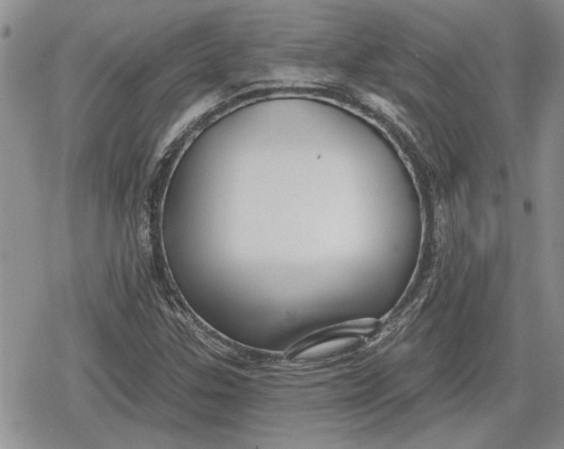 X0000078831307200611271247