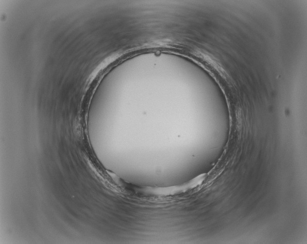 X0000078831308200611271247