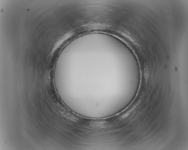 X0000078831309200611271247