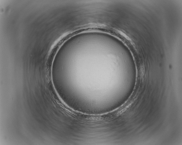 X0000078831310200611271247