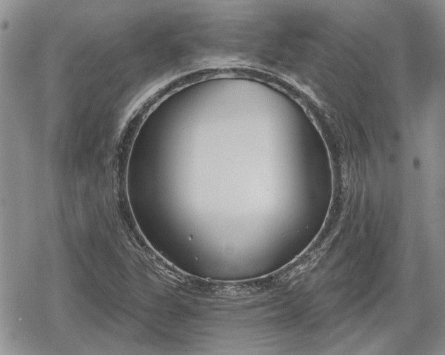 X0000078831311200611271247