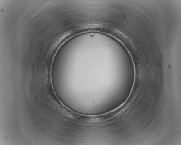 X0000078831313200611271247