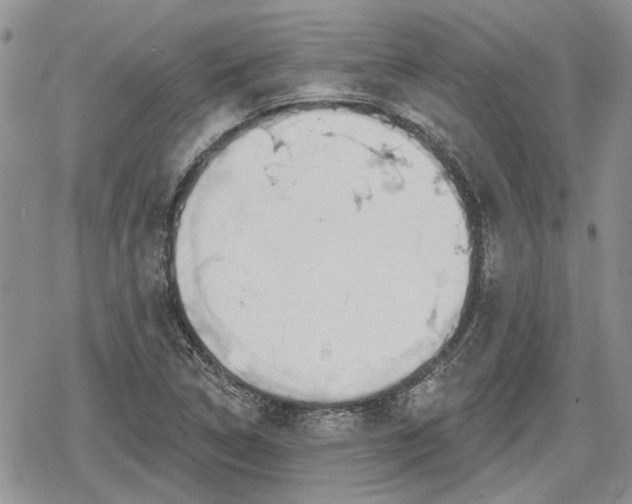 X0000078831314200611271247