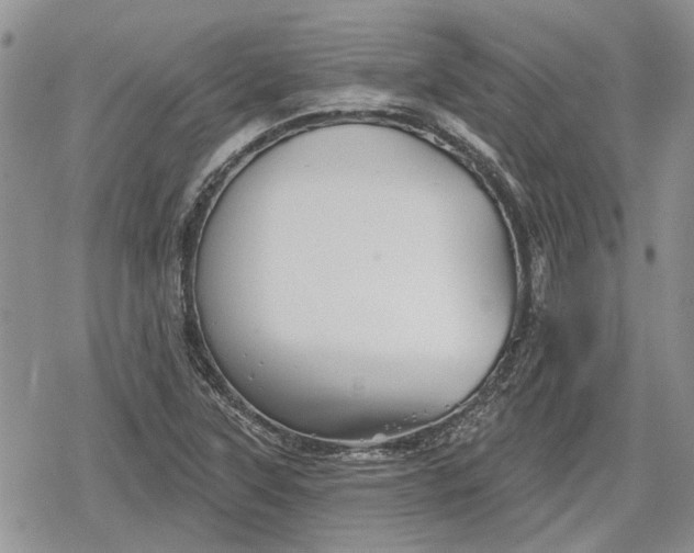 X0000078831315200611271247