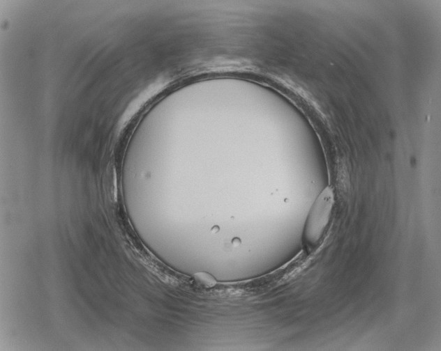 X0000078831317200611271247