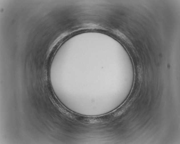 X0000078831318200611271247